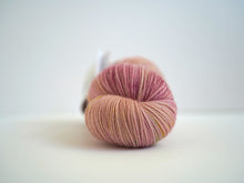 LJP Rambuoillet: test