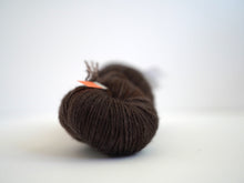 LJP Merino DK: 冬柿、橇　(訳あり)